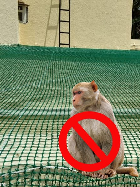 Anti-Pigeon Net