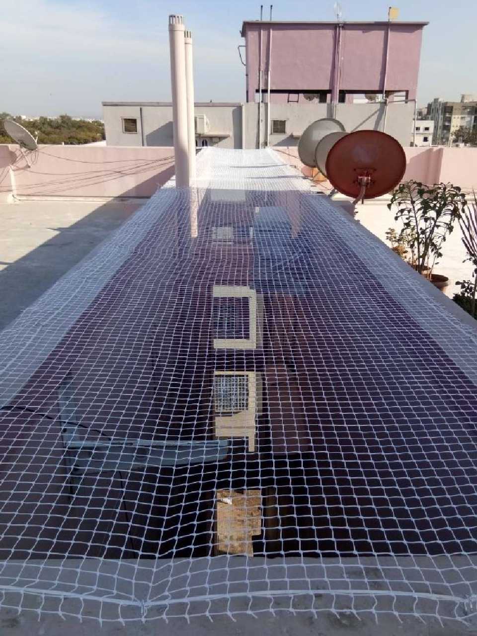 Pool Safety Net